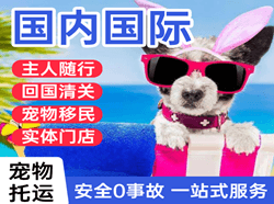东郊航空快运国际宠物托运 【国